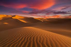 The sahara forest project aims to make the desert bloom again, and establish a new green economy in the process. The Sahara Earth S Largest Hot Desert Live Science