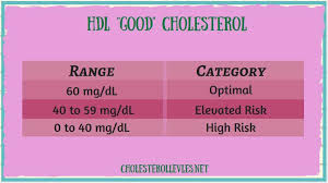 high density lipoprotein hdl low