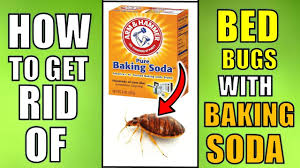 bed bugs fast with baking soda