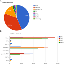 Pie Chart And Bar Chart Of Genomic Location Distribution A