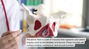 pelvic floor physical therapy in nyc