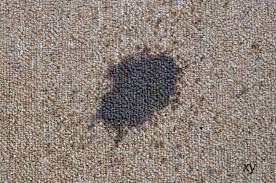 remove oil from carpet carpet