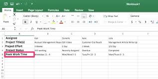 Employee Roles And Responsibilities Template Excel Workload
