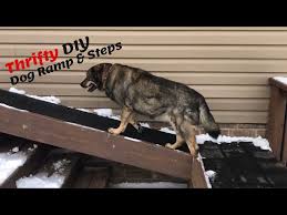 Build A Dog Ramp And Steps