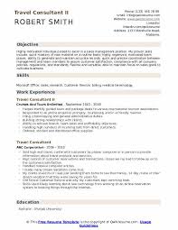 travel consultant resume sles