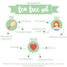 the benefits of tea tree oil and how