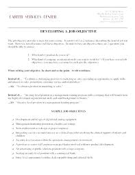 Example Of Career Objective For Resume Sample Resume For Sales Lady