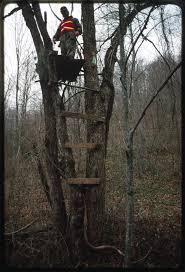 tree stand he built for deer hunting