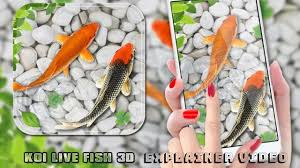 fish live wallpaper 2018 aquarium koi