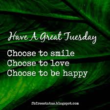 Do not even doubt that every tuesday funny message you share with your friends or colleagues will be much. Funny Happy Tuesday Morning Quotes With Funny Tuesday Memes Happy Tuesday Quotes Tuesday Quotes Happy Tuesday Morning