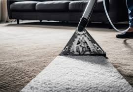 carpet cleaning house garden deals