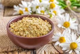 Check spelling or type a new query. How To Dry Chamomile At Home While Maintaining Maximum Benefits And Aroma