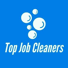 the 10 best carpet cleaning services in