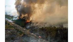 Environnement. Incendies : le feu ne progresse plus en Gironde, celui de la  forêt de Brocéliande contenu aux deux tiers