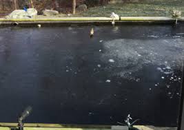 koi pond in winter preparation tips