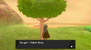Haban Berry - How To Get | Pokemon Sword Shield - GameWith