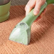 6 best carpet cleaners of 2024 reviewed