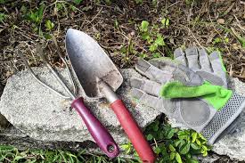 The Most Important Gardening Tools You
