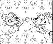 When mayor humdinger and his cousin ryder fall into the trap and steal the meteor to take over the city, the puppies must work. Paw Patrol Ultimate Rescue Skye Marshall Coloring Coloring Pages Paw Patrol Coloring Pages Paw Patrol Coloring