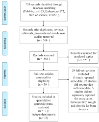 Flow Chart Of The Identification And Screening Procedure