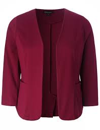 New Chicwe Womens Stretch Large Size Work Outfit Chic Wine