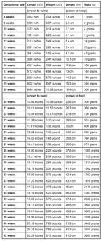 Baby Center Weight Chart Weight Chart For Babies During