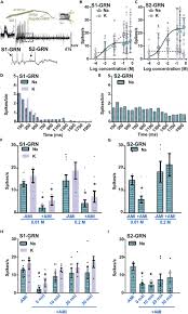 antennal gustatory receptor neurons