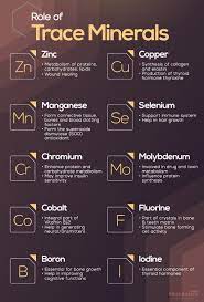 role of trace minerals in human body