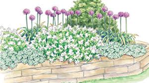 Elegant Spring Garden Bed With Allium