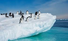The coldest place outside antarctica? Antarctica The Coldest Place On Earth Winter Penguin Climate