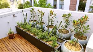Roof Top Gardening Farmfed Nature