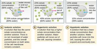 hypotonic solution definition and