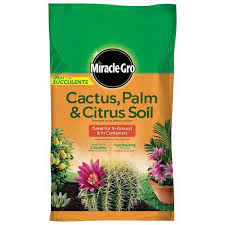 Cactus Palm And Citrus Soil