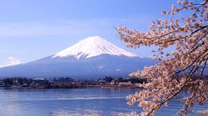 Image result for cherry blossom landscapes japan