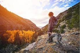 dog friendly parks hikes in colorado