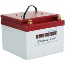 Concorde Rg 24 15 Recombinant Gas Sealed Lead Acid Battery