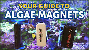 10 Best Aquarium Magnet Cleaners Reviewed Rated In 2019