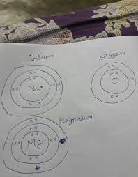 Write the electron-dot structure for sodium, oxygen and magnesium ​ -  Brainly.in