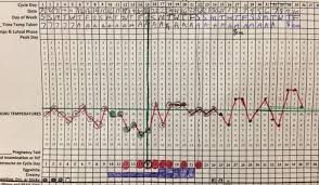 Possible To Be Pregnant With Abnormal Bbt Chart Getting