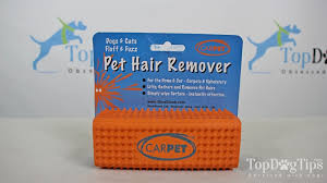 carpet dog hair remover tool review