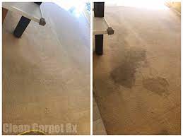 removing urine stains clean carpet rx