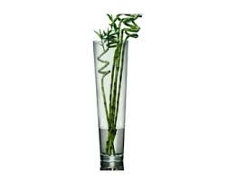 very tall glass vase