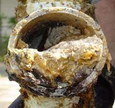 avoid sewer clogs from fats