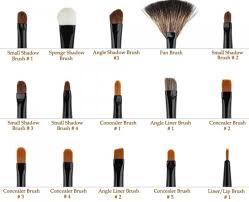 12 makeup brushes you need and their use