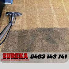 carpet in sydney region nsw cleaning