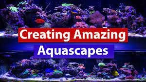 Consider raising the rocks off the bottom of the tankby doing this before the substrate is added to the tank the rocks will be somewhat suspended above the substrate itself. Creating Amazing Aquascapes Tips And Tricks To Building That Stunning Saltwater Reef Scape Youtube