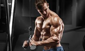 triceps workout the key to bigger arms