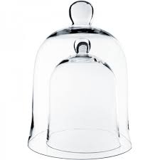 glass dome bell jar cloche set glass
