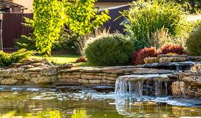 Build A Pond Or Water Garden