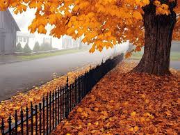Beautiful Autumn - Nature Full Screen ...